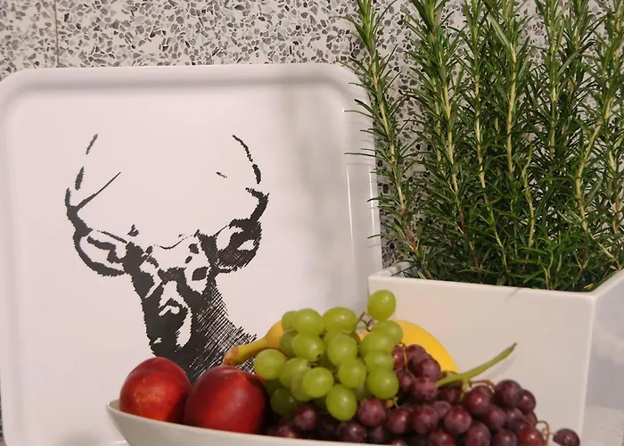 Michael Lejlighed Mayrhofen