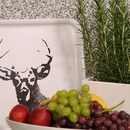 Michael Apartament Mayrhofen